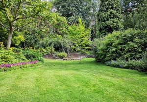 Optimiser l'expérience du jardin à Thury-en-Valois
